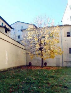 Giardino Sozzifanti-Buontalenti