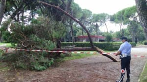 Col cinema poteva essere anche strage...