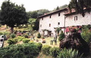 Il Volpino, San Marcello