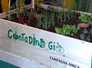 Il contadino Giò