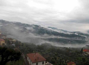 Paesaggi nebbiosi