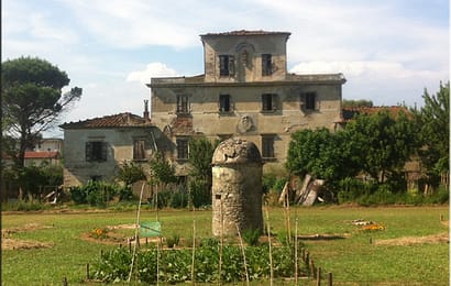 ORTI URBANI, DA LUNEDÌ 3 FEBBRAIO È POSSIBILE FARE LA DOMANDA ORTI URBANI, DA LUNEDÌ 3 FEBBRAIO È POSSIBILE FARE LA DOMANDA