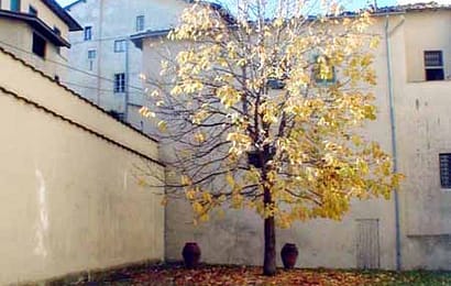 LEGGERE LA CITTÀ: MA INIZIAMO A LAVORARE SUL SERIO LEGGERE LA CITTÀ: MA INIZIAMO A LAVORARE SUL SERIO