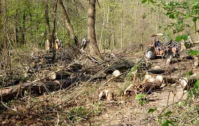 fdi. RIGENERAZIONE BOSCHIVA, UN PROGETTO DI RIQUALIFICAZIONE TERRITORIALE fdi. RIGENERAZIONE BOSCHIVA, UN PROGETTO DI RIQUALIFICAZIONE TERRITORIALE