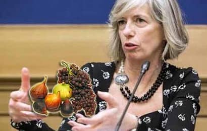 LA CATTIVA SCUOLA DI RENZI E DELLA GIANNINI LA CATTIVA SCUOLA DI RENZI E DELLA GIANNINI