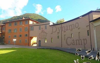 DYNAMO. MA L’ORO VERO NON LUCCICA QUASI MAI DYNAMO. MA L’ORO VERO NON LUCCICA QUASI MAI
