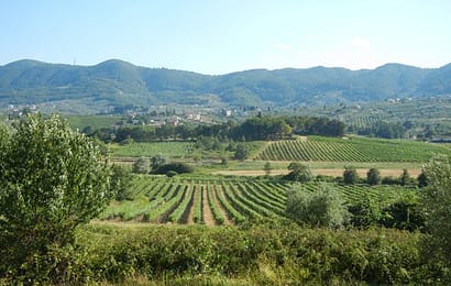 lettera aperta. NO A STRUMENTALIZZAZIONI SUL BIO-DISTRETTO DEL MONTABANO lettera aperta. NO A STRUMENTALIZZAZIONI SUL BIO-DISTRETTO DEL MONTABANO