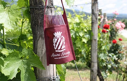 CANTINE APERTE 2017, SABATO 27 E DOMENICA 28 MAGGIO CANTINE APERTE 2017, SABATO 27 E DOMENICA 28 MAGGIO