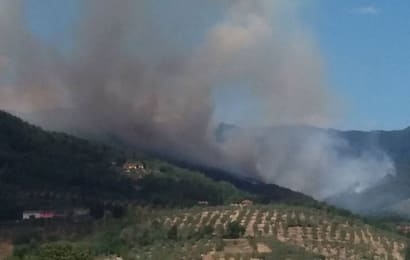 incendio. SONO SEMPRE DOLOSI E MANCA L’ORGANIZZAZIONE DI GOVERNO E REGIONI incendio. SONO SEMPRE DOLOSI E MANCA L’ORGANIZZAZIONE DI GOVERNO E REGIONI