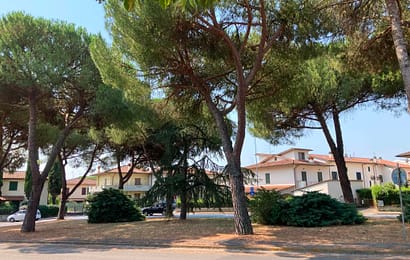 poggio. NUOVO VOLTO PER LA ROTONDA DI VIA ALDO MORO poggio. NUOVO VOLTO PER LA ROTONDA DI VIA ALDO MORO