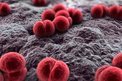 MENINGITE: L’ASL 3 METTE A DISPOSIZIONE NUMERI TELEFONICI MENINGITE: L’ASL 3 METTE A DISPOSIZIONE NUMERI TELEFONICI
