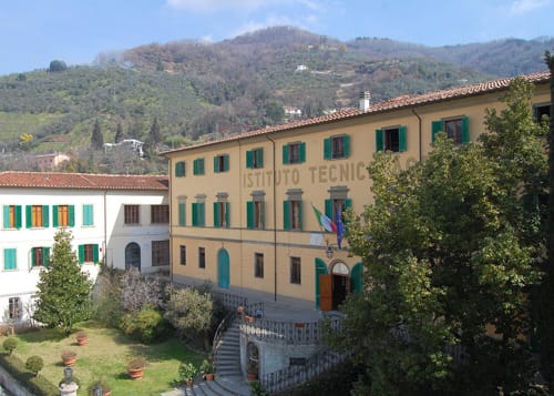 LE NUOVE TECNICHE DI COLTIVAZIONE E DIFESA DEGLI OLIVI LE NUOVE TECNICHE DI COLTIVAZIONE E DIFESA DEGLI OLIVI