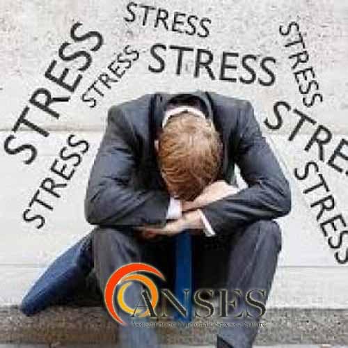 SEMINARI SU STRESS E SALUTE ALLA “CIVETTA” SEMINARI SU STRESS E SALUTE ALLA “CIVETTA”