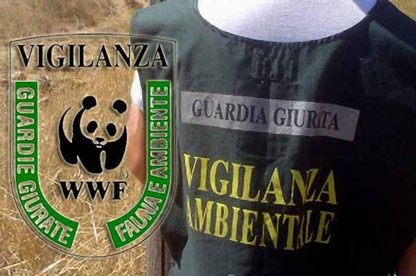 vigilanza ambientale. PALANDRI: «OSTACOLATI DALLA PREFETTURA MENTRE I COMUNI CI IGNORANO» vigilanza ambientale. PALANDRI: «OSTACOLATI DALLA PREFETTURA MENTRE I COMUNI CI IGNORANO»