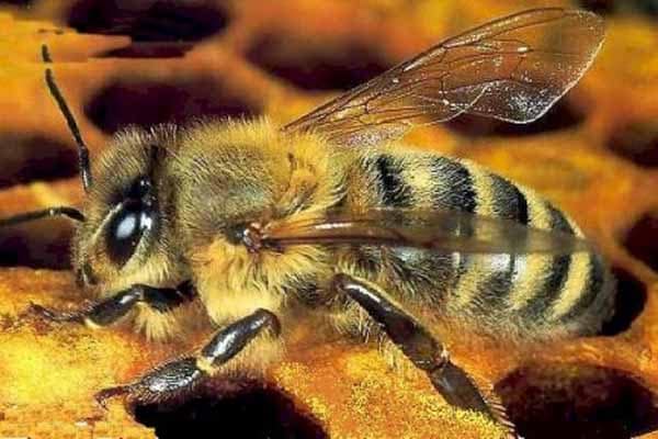 AMBIENTE E INQUINAMENTO. È TEMPO DI CAMBIARE ROTTA AMBIENTE E INQUINAMENTO. È TEMPO DI CAMBIARE ROTTA