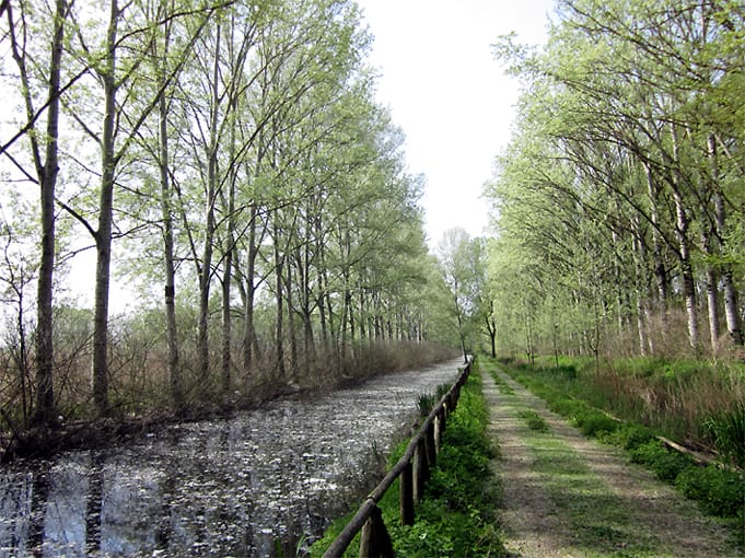 VISITE AL PADULE DI FUCECCHIO VISITE AL PADULE DI FUCECCHIO