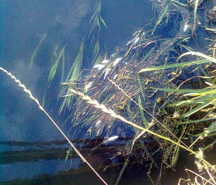 AGLIANA, PASSEGGIATA CON PESTICIDI AGLIANA, PASSEGGIATA CON PESTICIDI