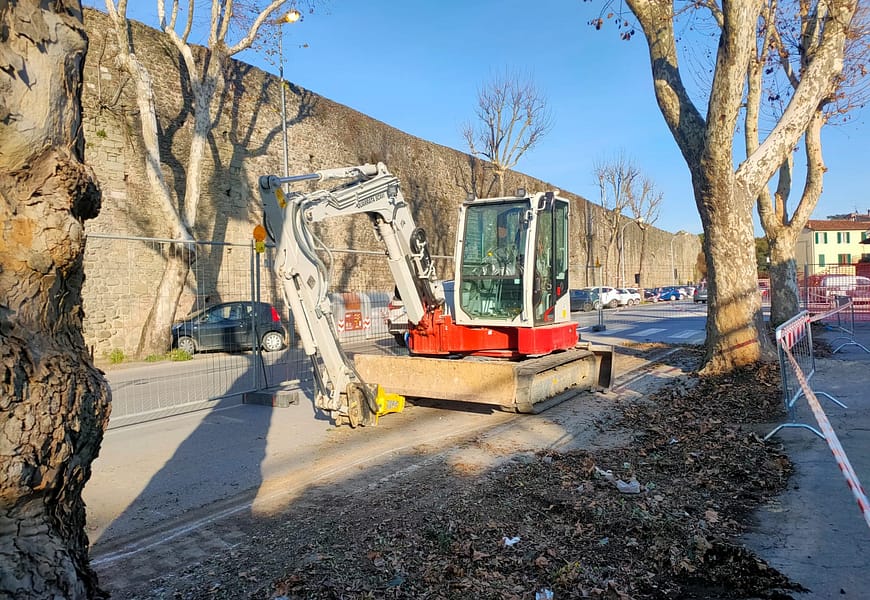 viale matteotti. INIZIANO I TAGLI DEI PLATANI COMPROMESSI. LE PIANTE SARANNO SOSTITUITE CON SEDICI ALBERI viale matteotti. INIZIANO I TAGLI DEI PLATANI COMPROMESSI. LE PIANTE SARANNO SOSTITUITE CON SEDICI ALBERI
