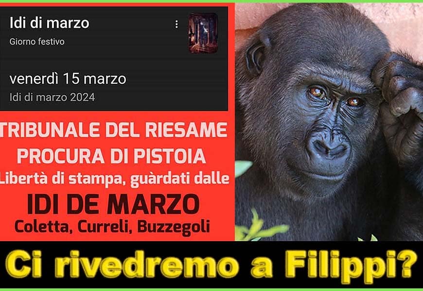 costituzione. POVERI QUEGLI ITALIANI CHE CREDONO CHE GLI ASINI POSSANO VOLARE! costituzione. POVERI QUEGLI ITALIANI CHE CREDONO CHE GLI ASINI POSSANO VOLARE!