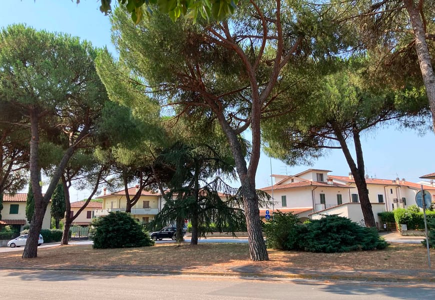 poggio. NUOVO VOLTO PER LA ROTONDA DI VIA ALDO MORO poggio. NUOVO VOLTO PER LA ROTONDA DI VIA ALDO MORO