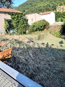 Falciatura Poligono del Giappone via Volta incrocio via Gamsci