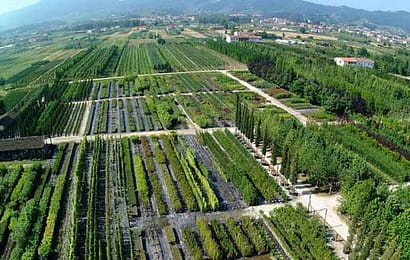 variante al regolamento urbanistico. LE ASSOCIAZIONI AGRICOLE UNITE CHIEDONO ALCUNE MODIFICHE variante al regolamento urbanistico. LE ASSOCIAZIONI AGRICOLE UNITE CHIEDONO ALCUNE MODIFICHE
