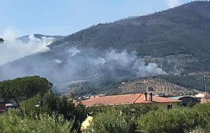 INCENDIO BOSCHIVO, INDICAZIONI ALLA POPOLAZIONE INCENDIO BOSCHIVO, INDICAZIONI ALLA POPOLAZIONE